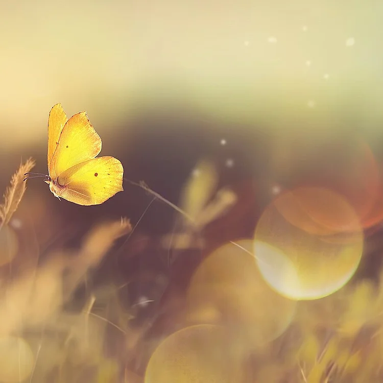 Ganzheitliche Fernbehandlung