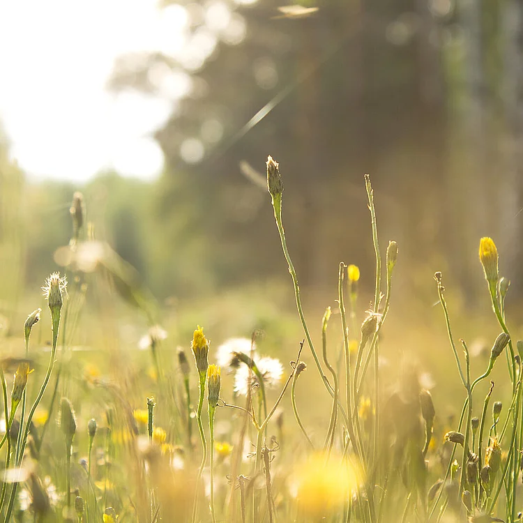 Energieumstellung für Wohn- und Arbeitsräume